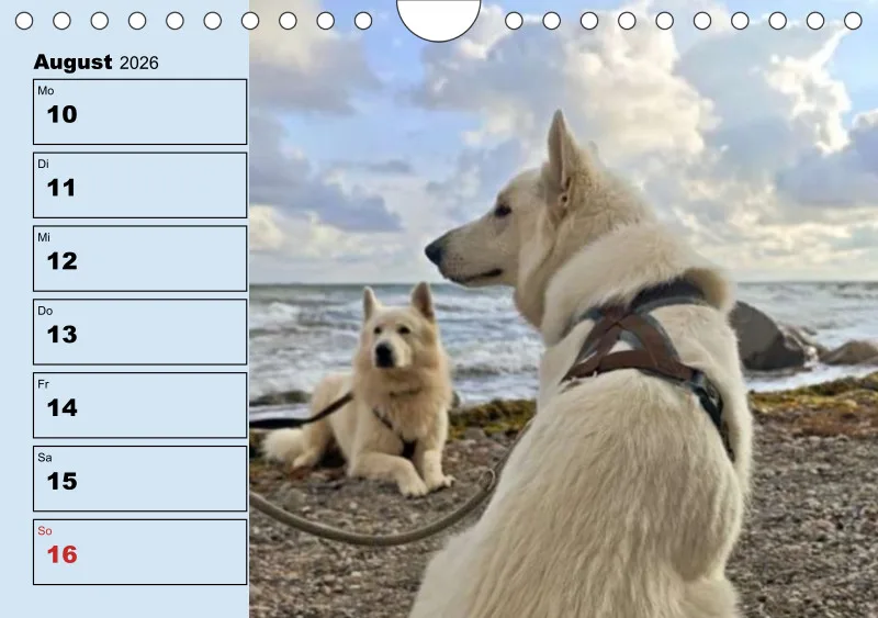 Hunde-Wochenkalender 2026 A5