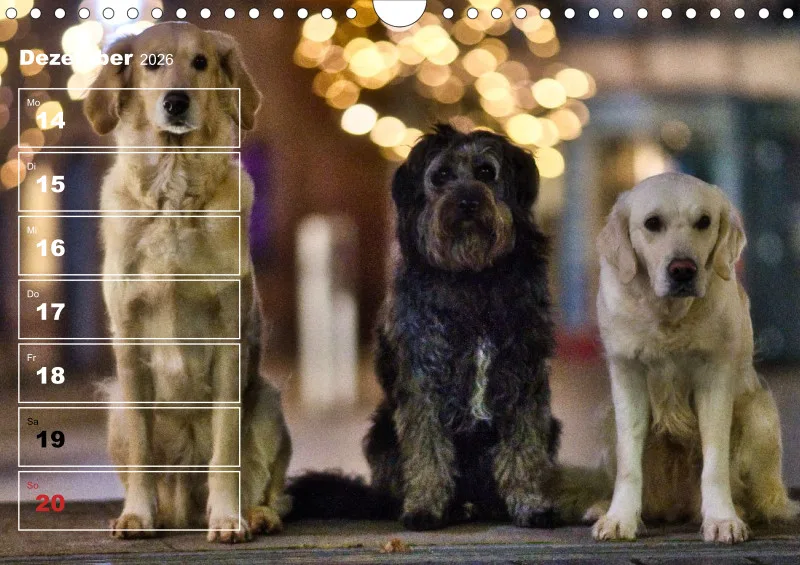 Hunde-Wochenkalender 2026 A4