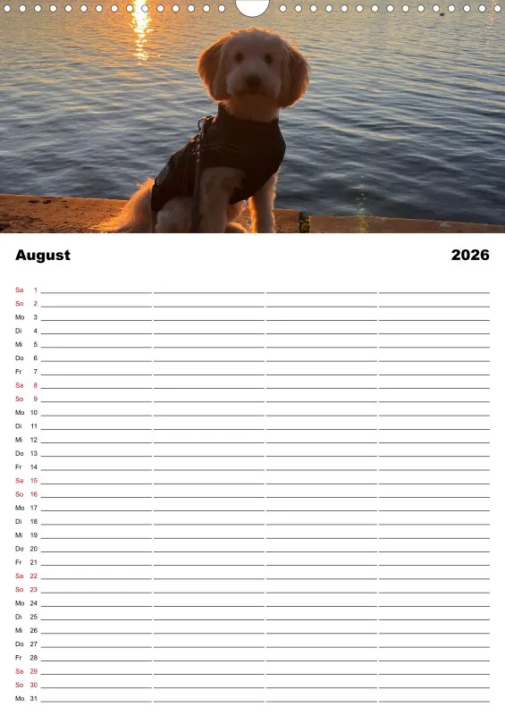 Hundekalender Familienplaner 2026