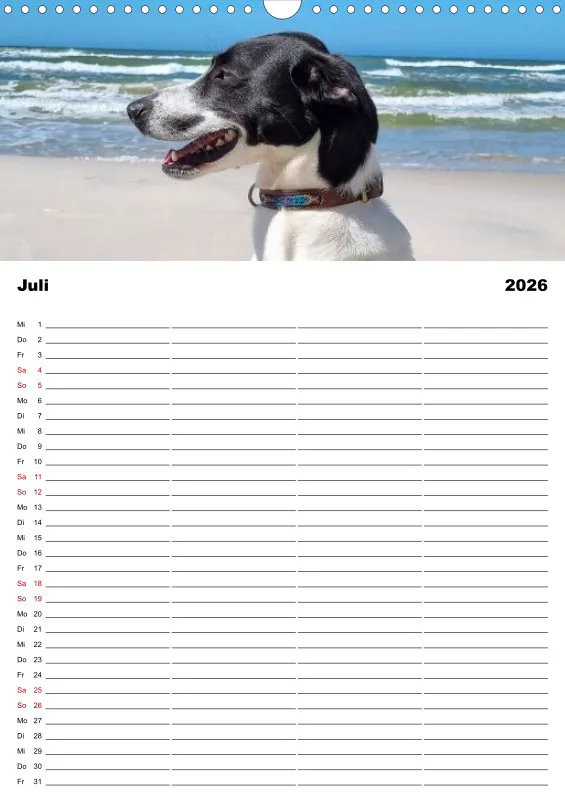 Hundekalender Familienplaner 2026