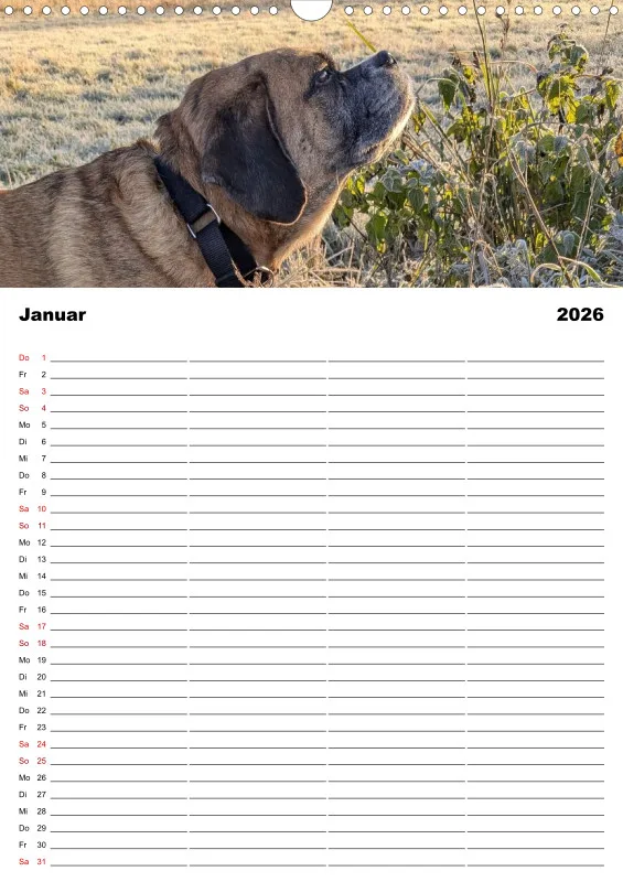 Hundekalender Familienplaner 2026