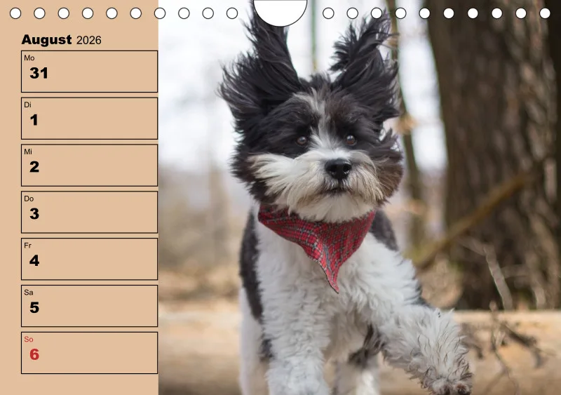 Hunde-Wochenkalender 2026 A5
