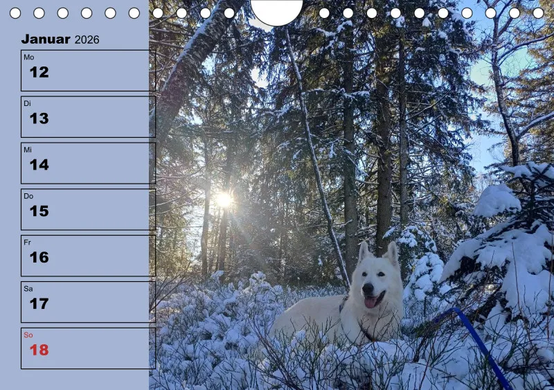 Hunde-Wochenkalender 2026 A5