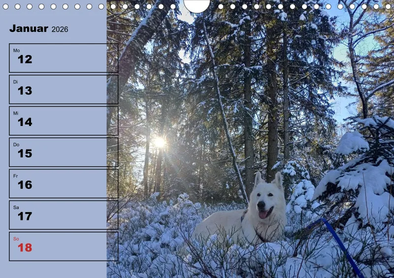 Hunde-Wochenkalender 2026 A4