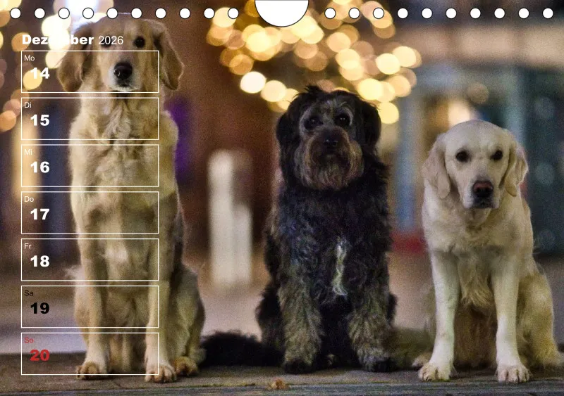 Hunde-Wochenkalender 2026 A5