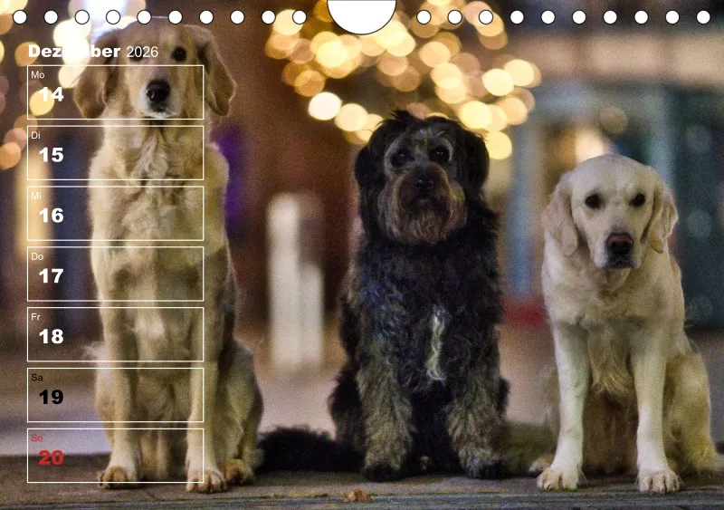 Hunde-Wochenkalender 2026 A5