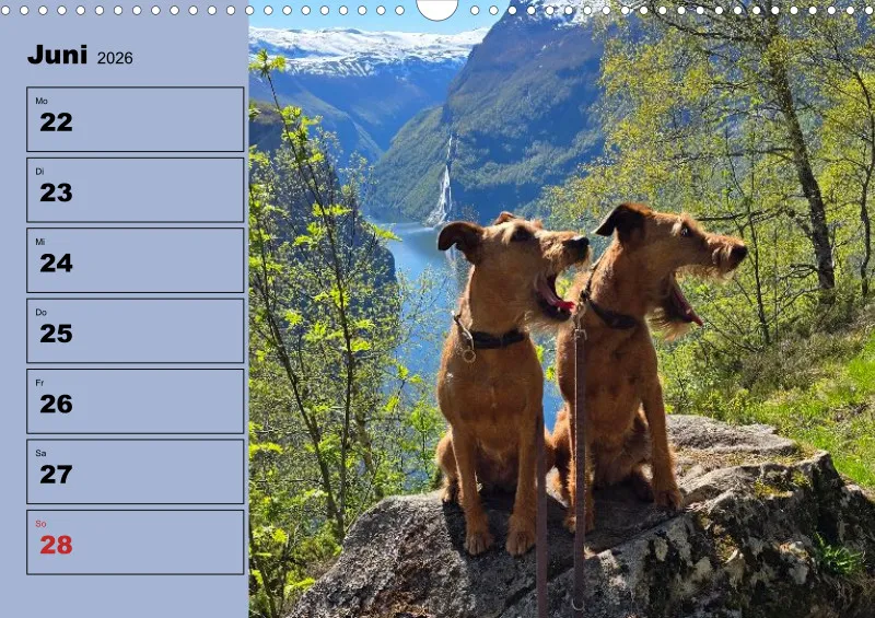 Hunde-Wochenkalender 2026 A3
