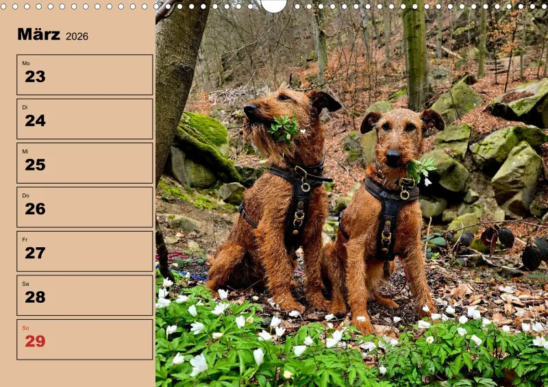 Hunde-Wochenkalender 2026 A3