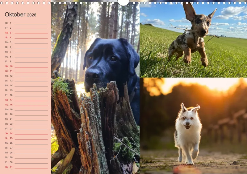 Hundekalender 2026 - DIN A3
