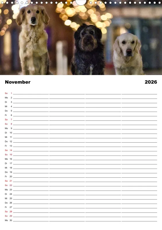 Hundekalender Familienplaner 2026