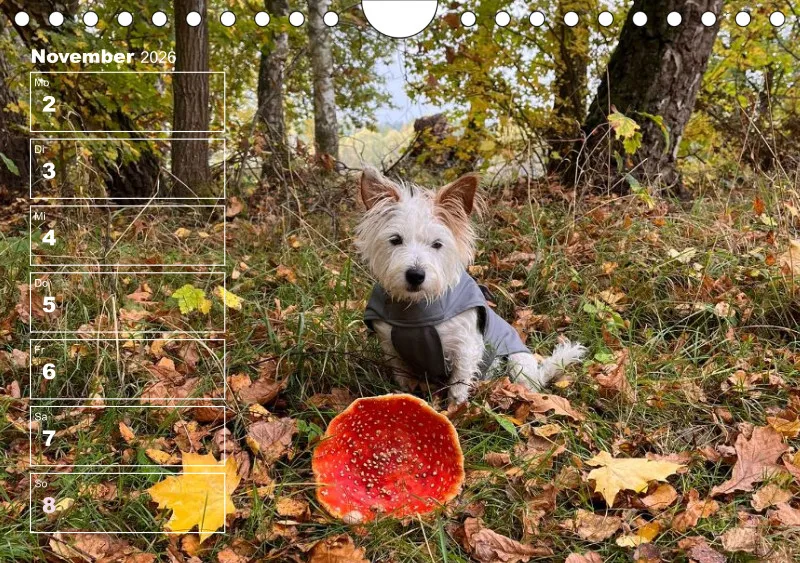 Hunde-Wochenkalender 2026 A5