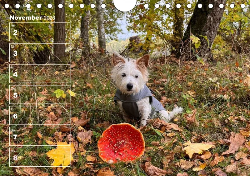 Hunde-Wochenkalender 2026 A5