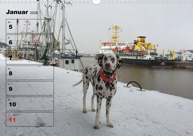 Hunde-Wochenkalender 2026 A3