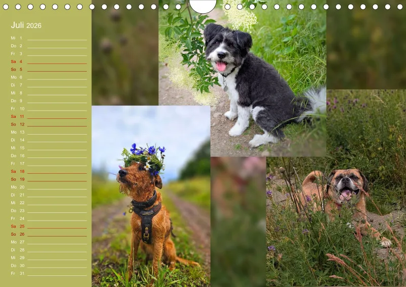 Hundekalender 2026 - DIN A4
