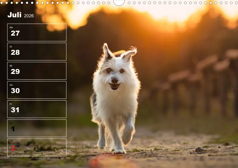 Hunde-Wochenkalender 2026 A3