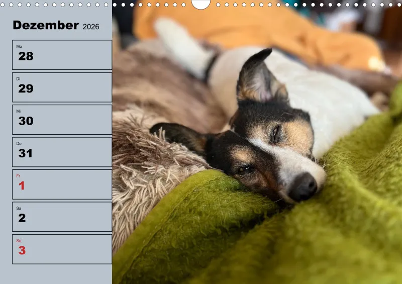 Hunde-Wochenkalender 2026 A3