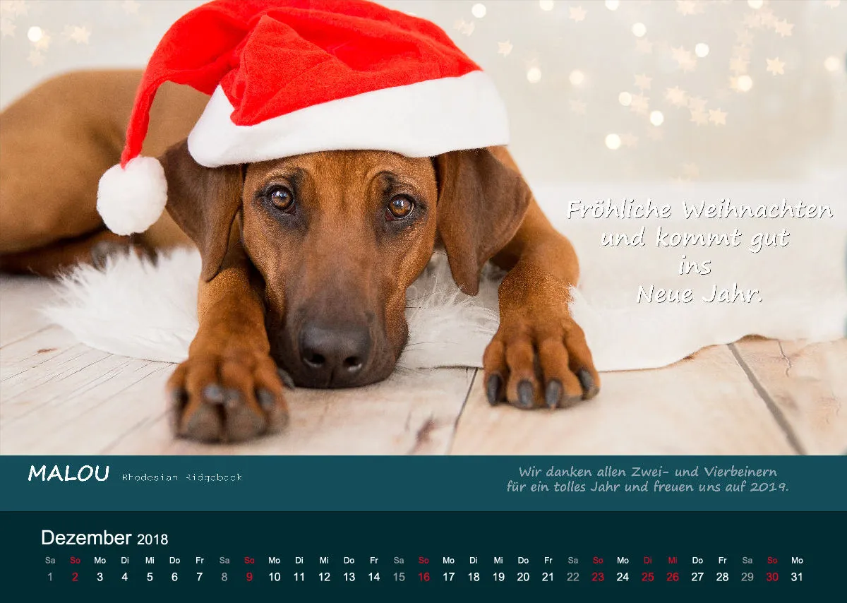 A3 MIKAdo Kalender 2018