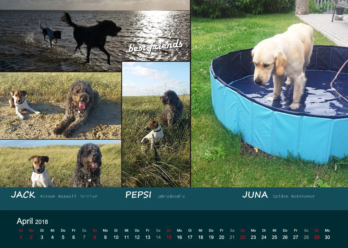 A3 MIKAdo Kalender 2018