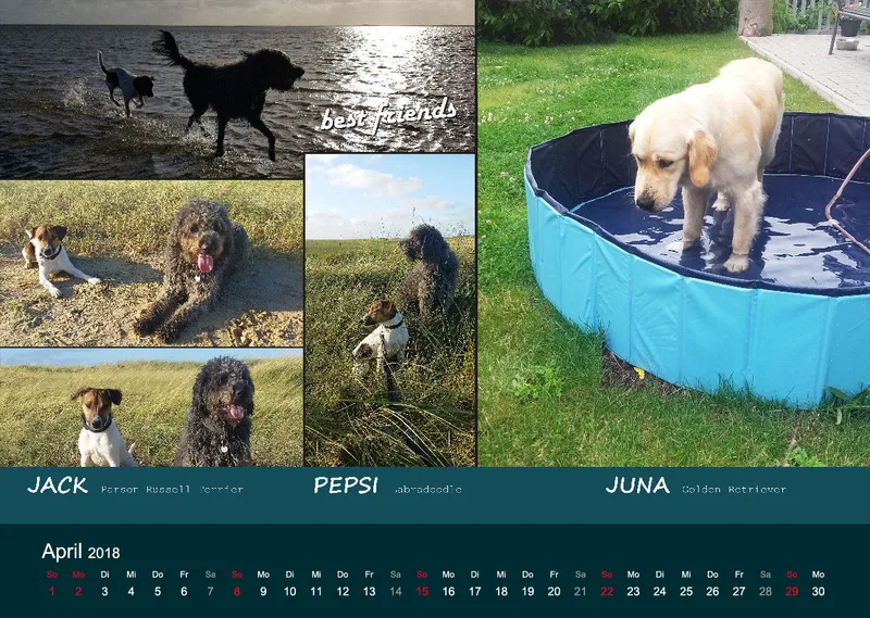 A3 MIKAdo Kalender 2018