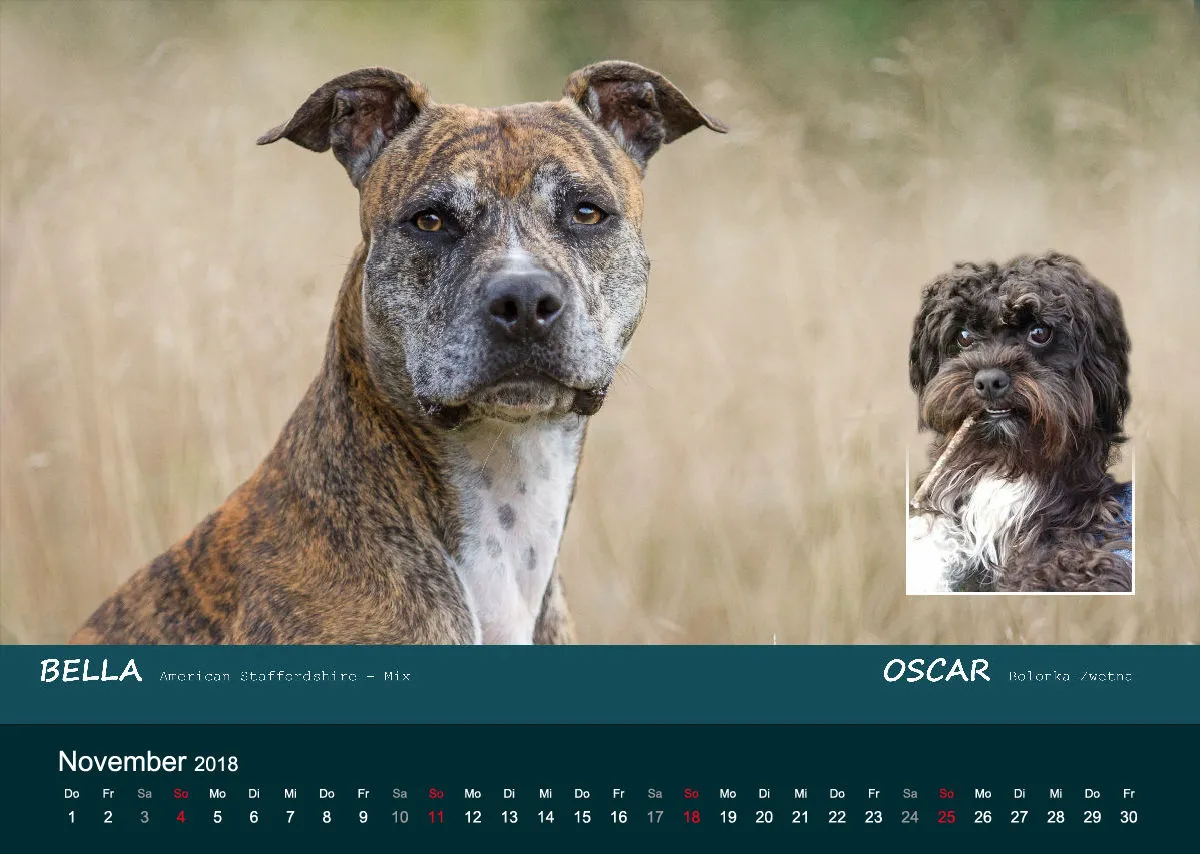 A3 MIKAdo Kalender 2018