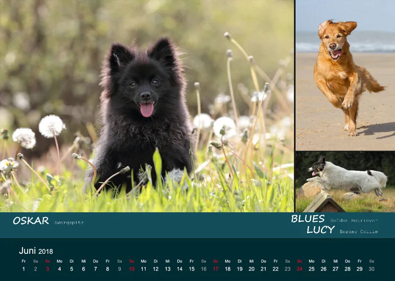 A3 MIKAdo Kalender 2018
