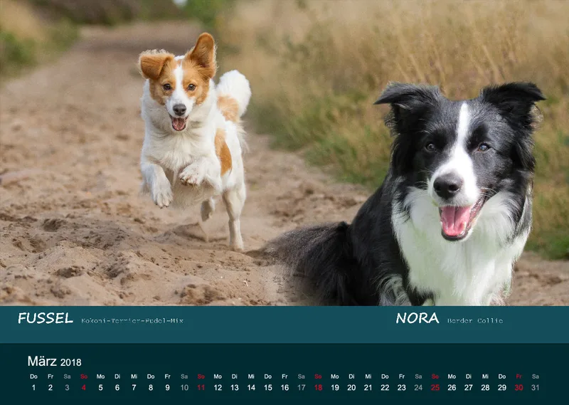 A3 MIKAdo Kalender 2018