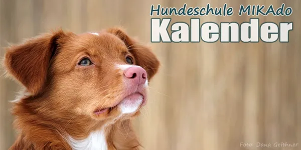 Hundeschule MIKAdo