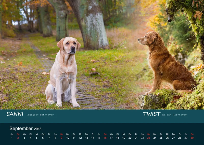 A4 MIKAdo Kalender 2018
