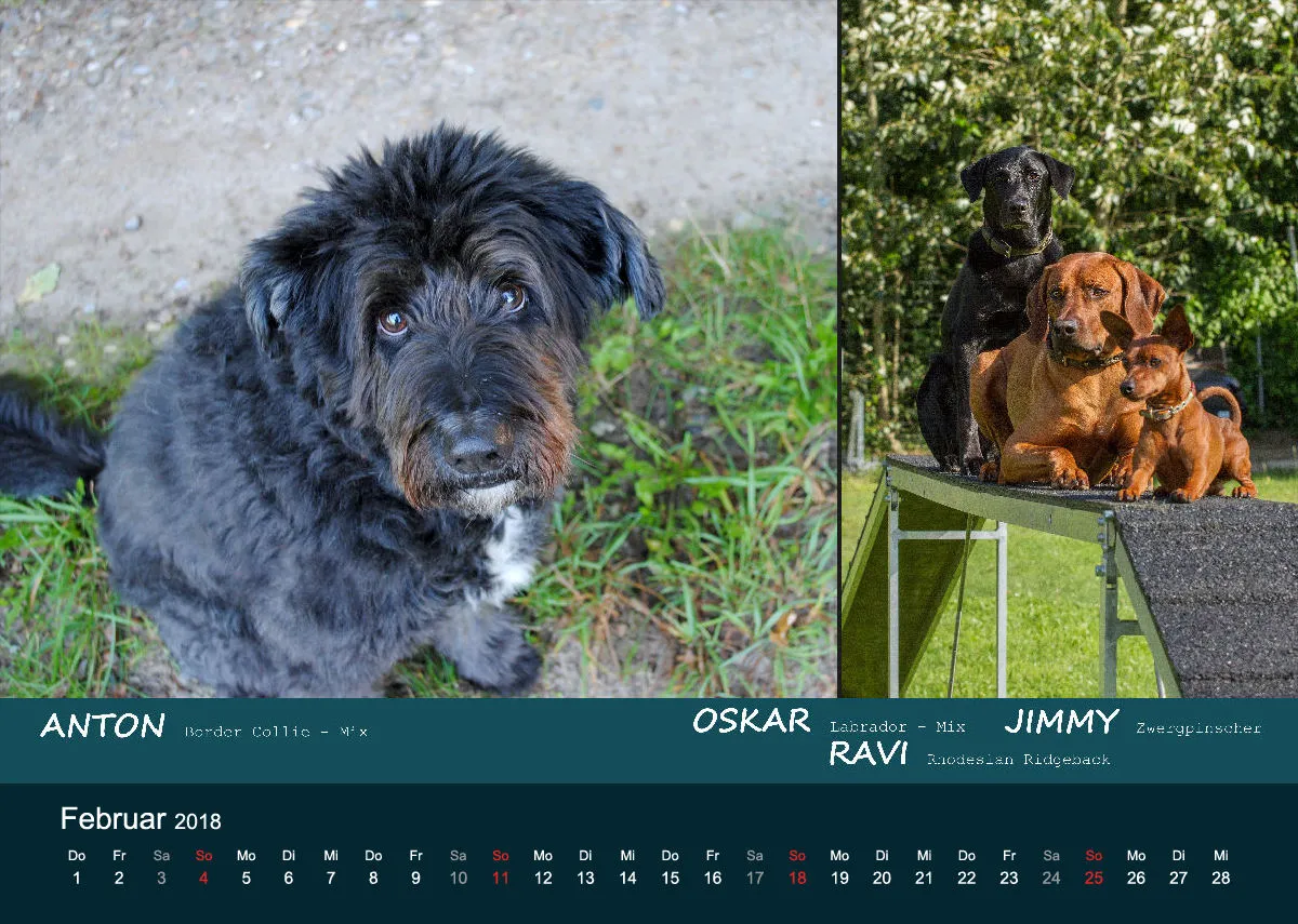 A4 MIKAdo Kalender 2018