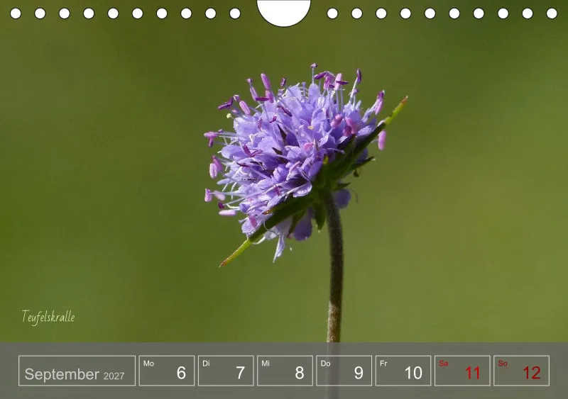 Gartenbilderbuch 2027