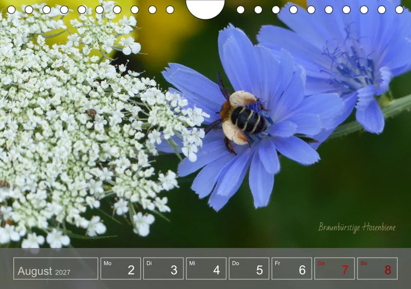 Gartenbilderbuch 2027