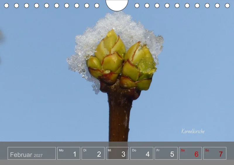Gartenbilderbuch 2027