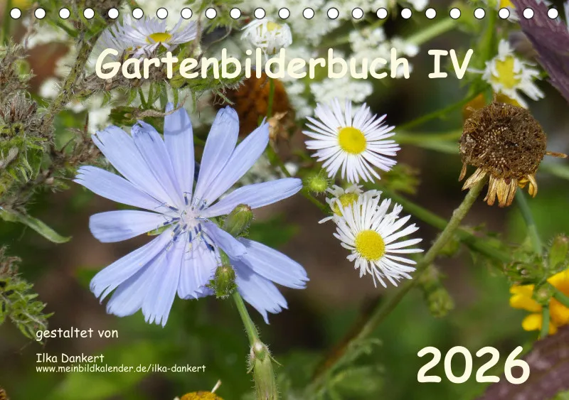 Gartenbilderbuch IV