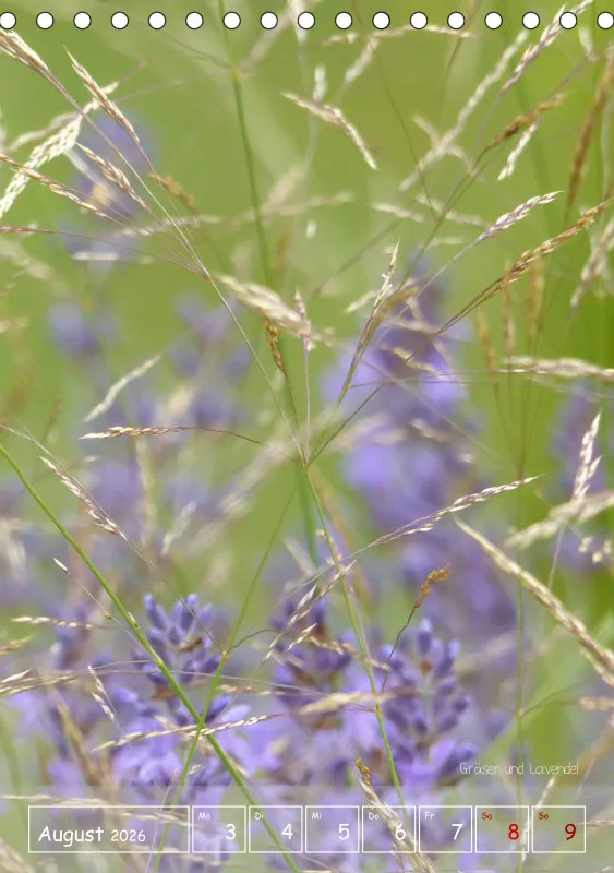 Gartenbilderbuch II