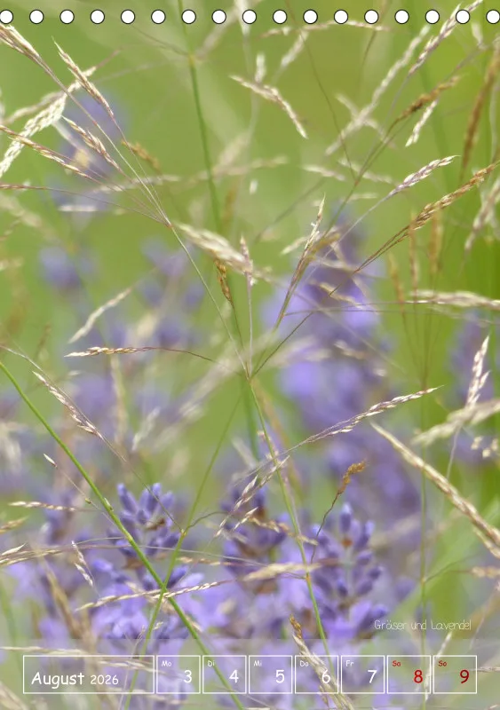 Gartenbilderbuch II