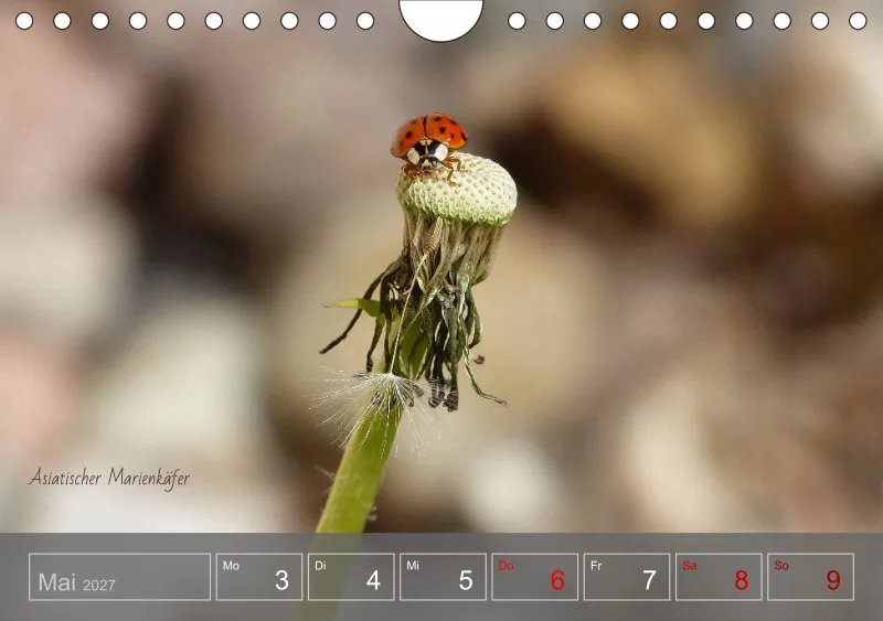Gartenbilderbuch 2027
