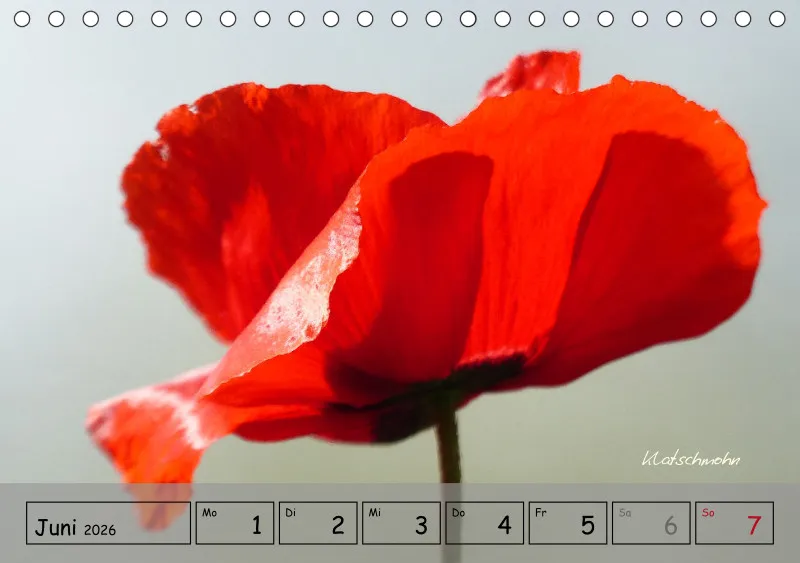 Gartenbilderbuch IV