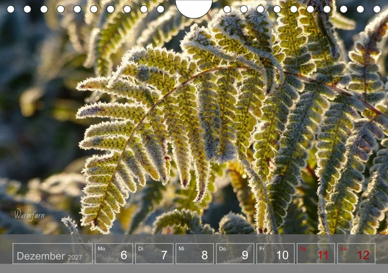 Gartenbilderbuch 2027