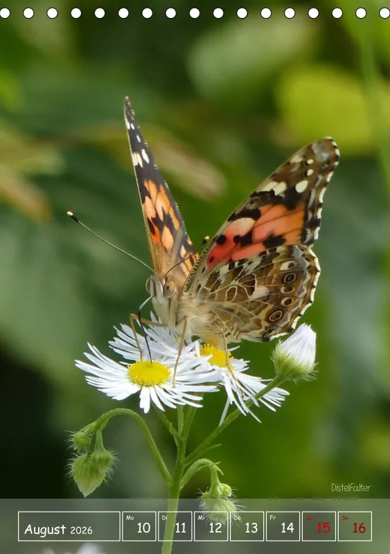 Gartenbilderbuch II