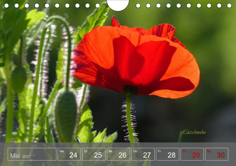 Gartenbilderbuch 2027