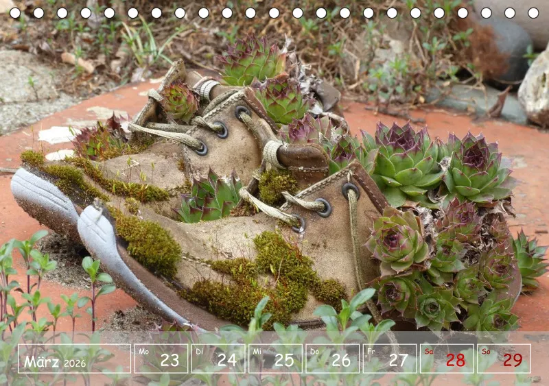 Gartenbilderbuch VI