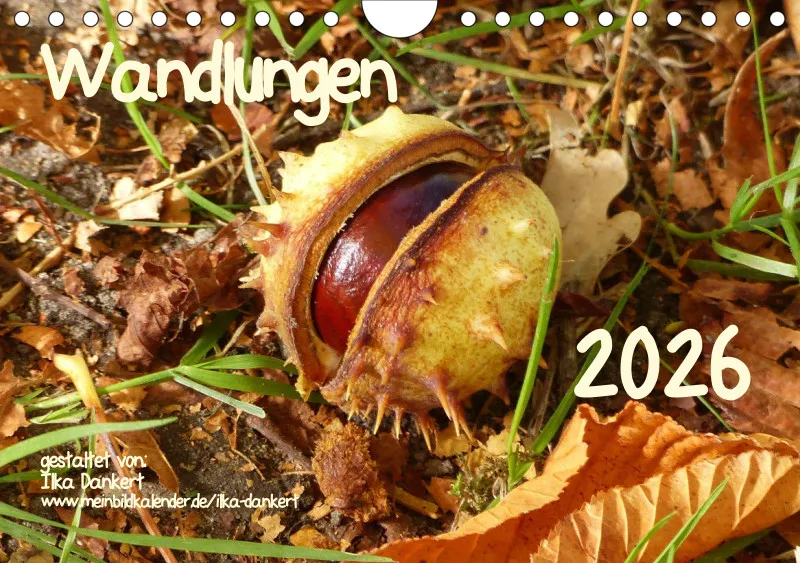 Wandlungen