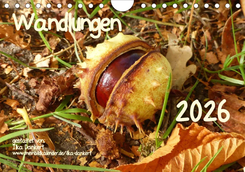 Wandlungen