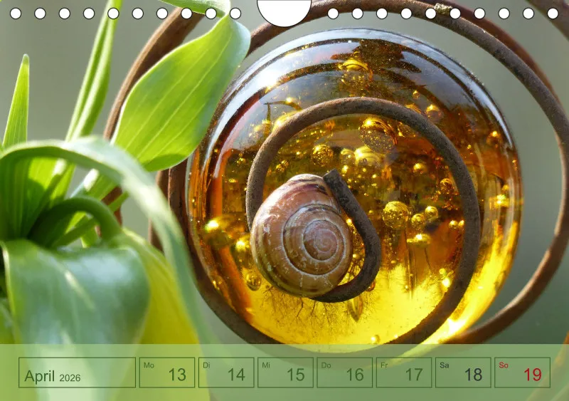 Gartenbilderbuch I