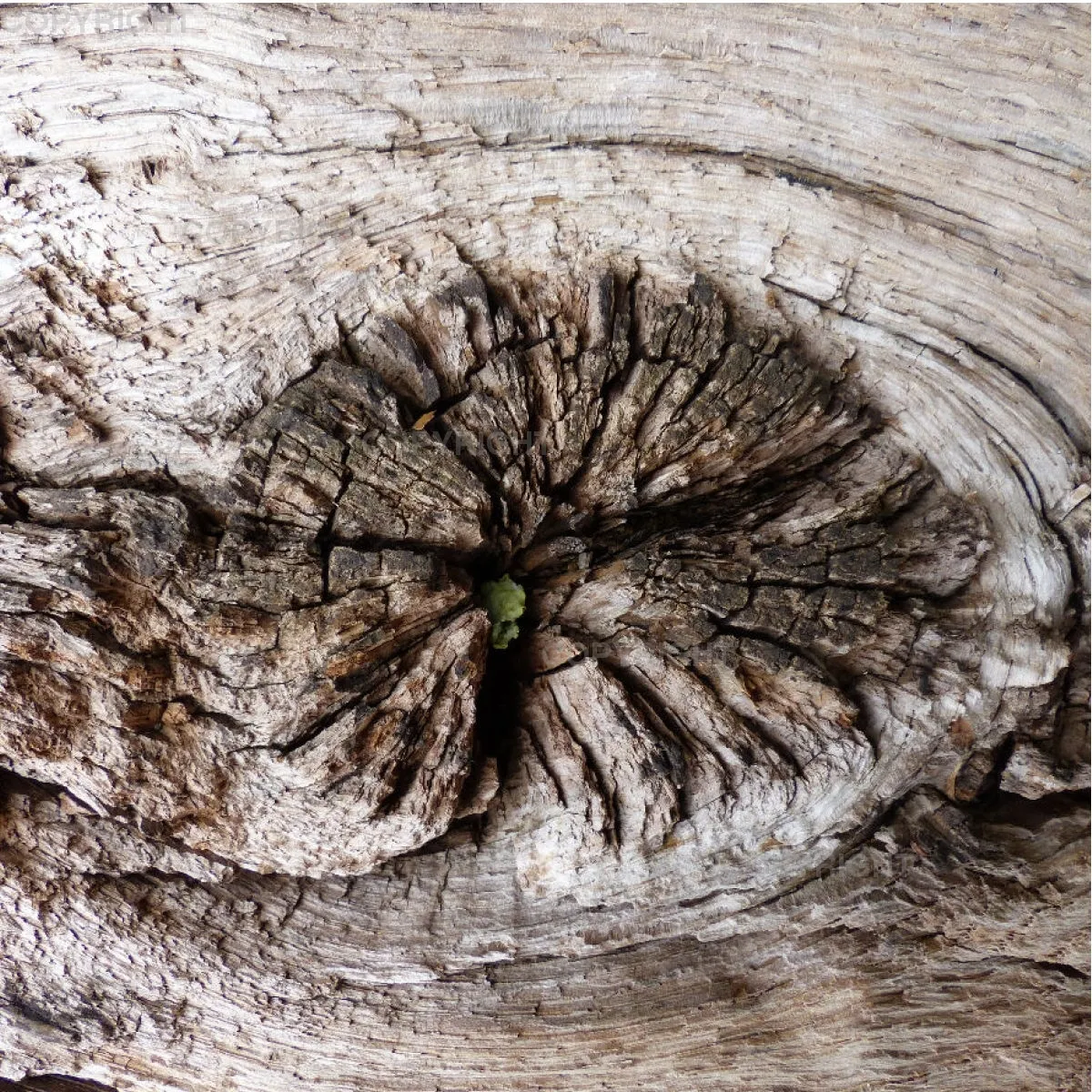 Kissen / Holz