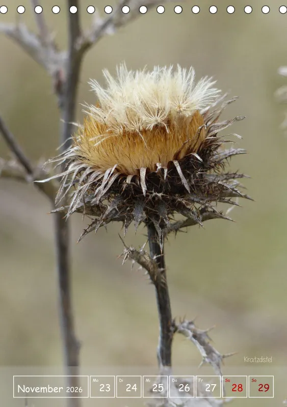 Gartenbilderbuch II