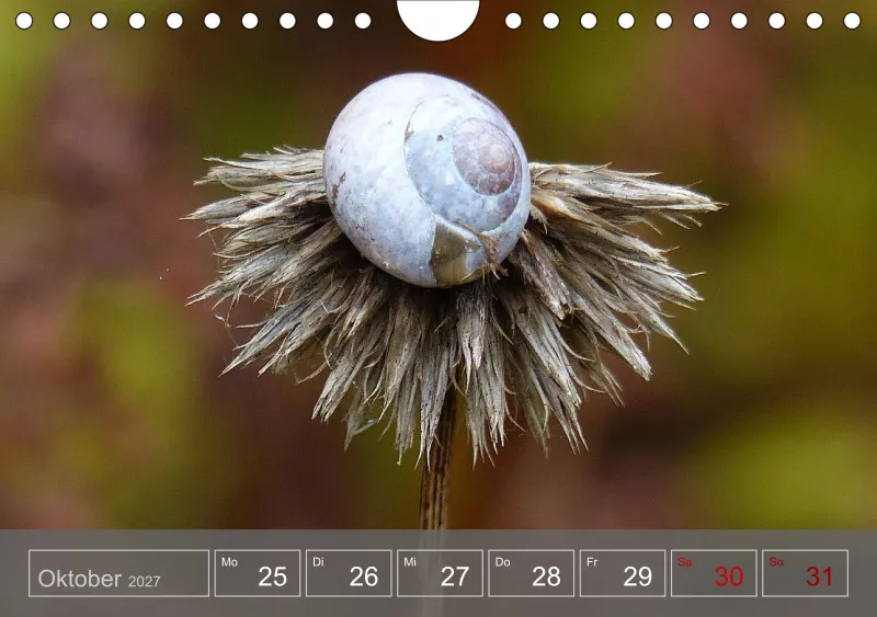 Gartenbilderbuch 2027