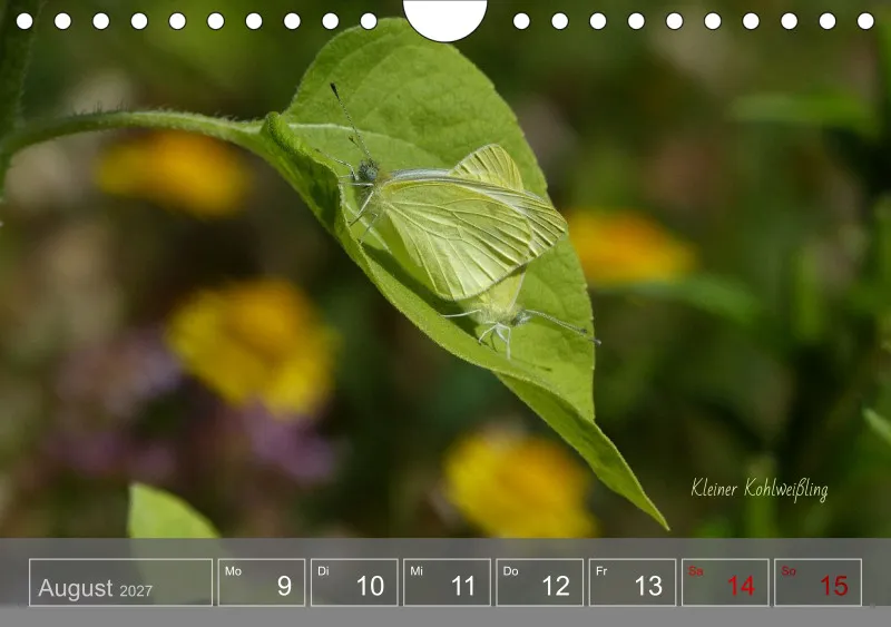 Gartenbilderbuch 2027