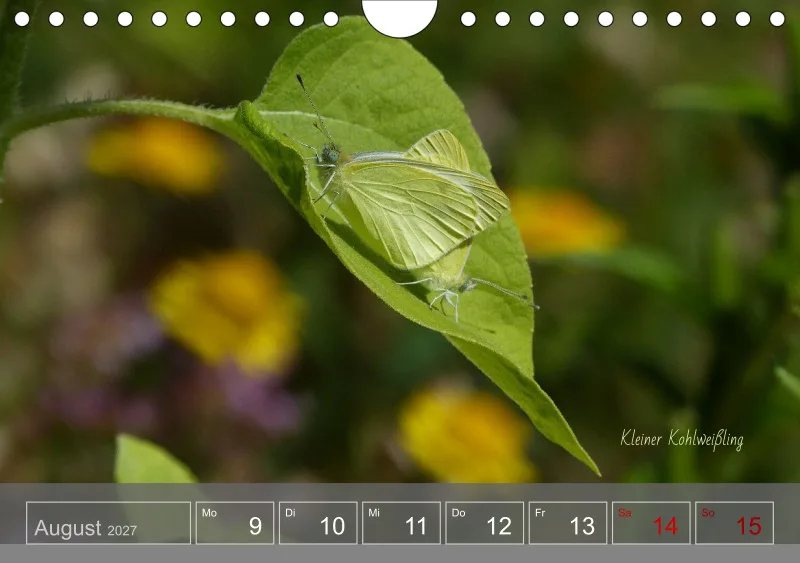 Gartenbilderbuch 2027