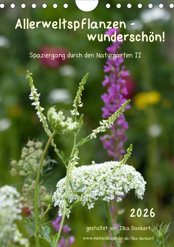 Allerweltspflanzen - wunderschön! II